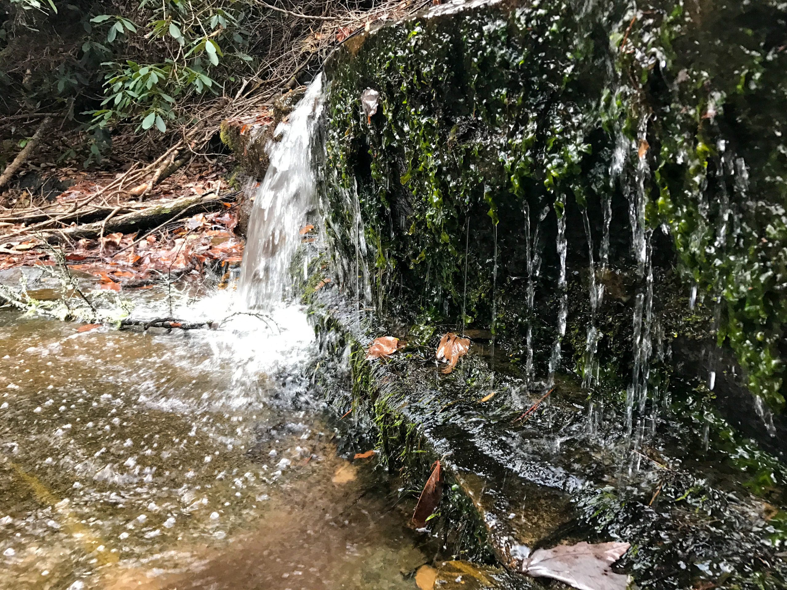 woman using smartphone